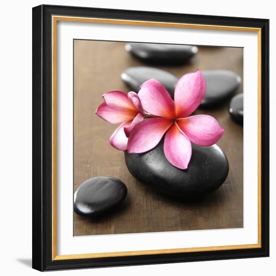 Zen Pebbles-null-Framed Photographic Print