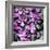 Zen Pebbles-PhotoINC Studio-Framed Art Print