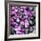 Zen Pebbles-PhotoINC Studio-Framed Art Print