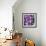 Zen Pebbles-PhotoINC Studio-Framed Art Print displayed on a wall