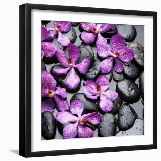 Zen Pebbles-PhotoINC Studio-Framed Art Print