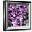 Zen Pebbles-PhotoINC Studio-Framed Art Print