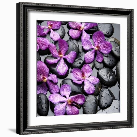 Zen Pebbles-PhotoINC Studio-Framed Art Print