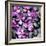 Zen Pebbles-PhotoINC Studio-Framed Art Print