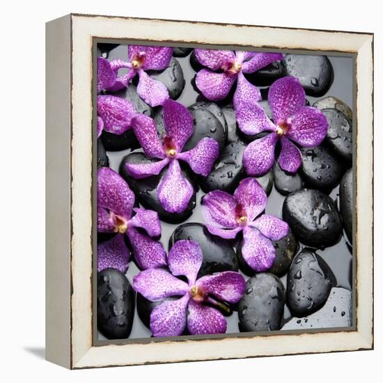 Zen Pebbles-PhotoINC Studio-Framed Stretched Canvas