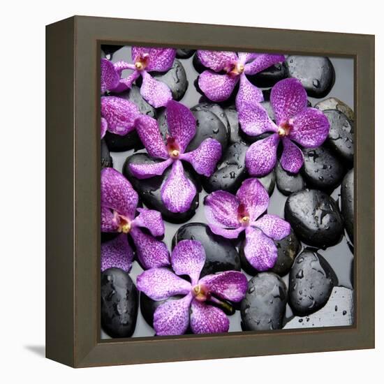 Zen Pebbles-PhotoINC Studio-Framed Stretched Canvas