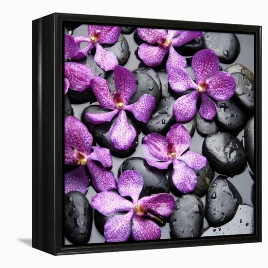 Zen Pebbles-PhotoINC Studio-Framed Stretched Canvas