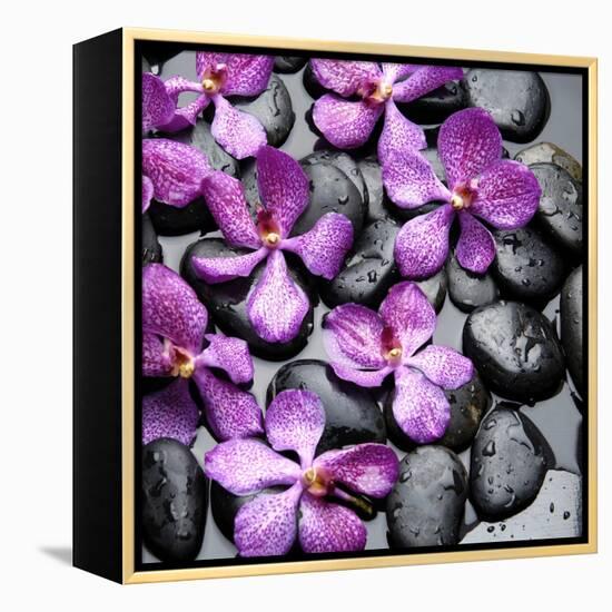 Zen Pebbles-PhotoINC Studio-Framed Stretched Canvas