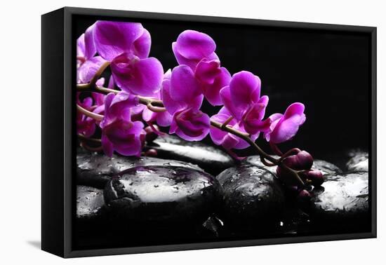 Zen Stone and Pink Orchid with Reflection-crystalfoto-Framed Premier Image Canvas