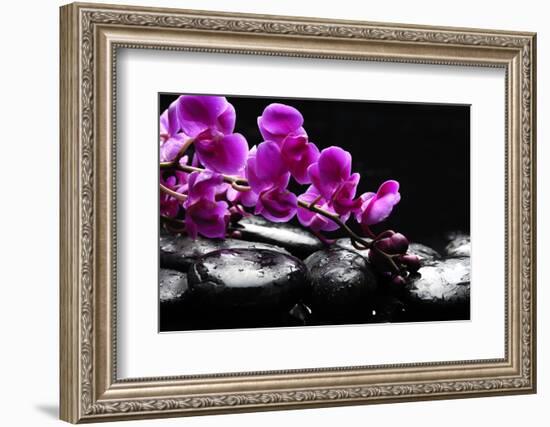 Zen Stone and Pink Orchid with Reflection-crystalfoto-Framed Photographic Print