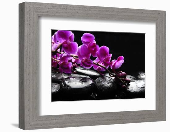 Zen Stone and Pink Orchid with Reflection-crystalfoto-Framed Photographic Print