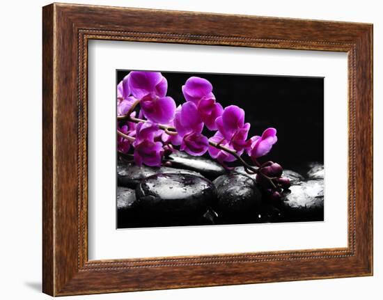 Zen Stone and Pink Orchid with Reflection-crystalfoto-Framed Photographic Print