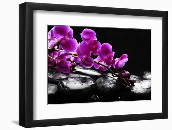 Zen Stone and Pink Orchid with Reflection-crystalfoto-Framed Photographic Print