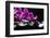 Zen Stone and Pink Orchid with Reflection-crystalfoto-Framed Photographic Print