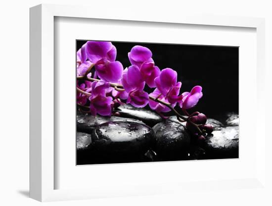 Zen Stone and Pink Orchid with Reflection-crystalfoto-Framed Photographic Print