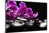 Zen Stone and Pink Orchid with Reflection-crystalfoto-Mounted Photographic Print