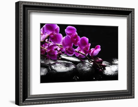 Zen Stone and Pink Orchid with Reflection-crystalfoto-Framed Photographic Print