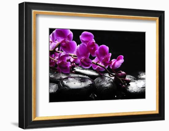 Zen Stone and Pink Orchid with Reflection-crystalfoto-Framed Photographic Print