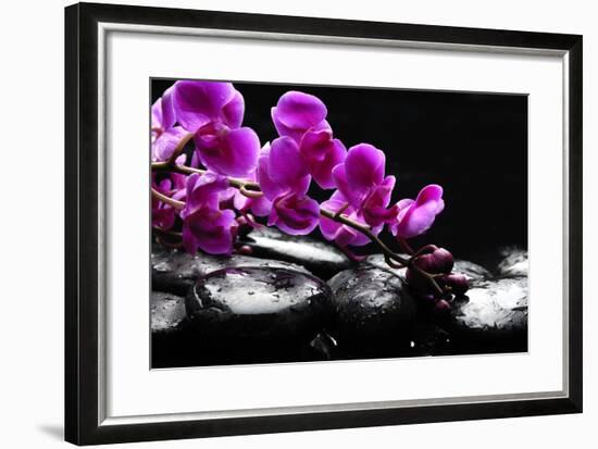 Zen Stone and Pink Orchid with Reflection-crystalfoto-Framed Photographic Print