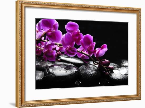 Zen Stone and Pink Orchid with Reflection-crystalfoto-Framed Photographic Print