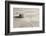 Zen Stone-og-vision-Framed Photographic Print