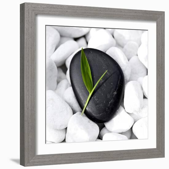 Zen Stone-null-Framed Photographic Print