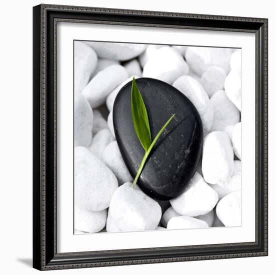 Zen Stone-null-Framed Photographic Print