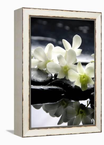 Zen Stones And Branch White Orchids With Reflection-crystalfoto-Framed Premier Image Canvas