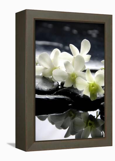 Zen Stones And Branch White Orchids With Reflection-crystalfoto-Framed Premier Image Canvas