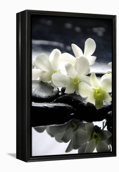 Zen Stones And Branch White Orchids With Reflection-crystalfoto-Framed Premier Image Canvas