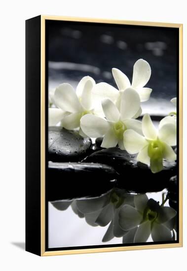 Zen Stones And Branch White Orchids With Reflection-crystalfoto-Framed Premier Image Canvas