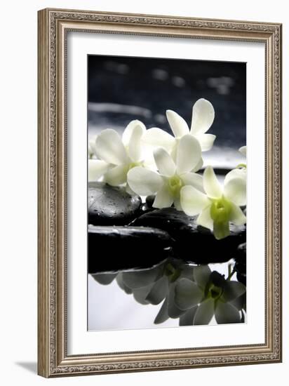 Zen Stones And Branch White Orchids With Reflection-crystalfoto-Framed Photographic Print