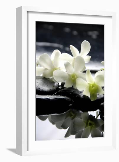 Zen Stones And Branch White Orchids With Reflection-crystalfoto-Framed Photographic Print