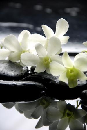 Zen Stones And Branch White Orchids With Reflection Photographic Print Crystalfoto Art Com