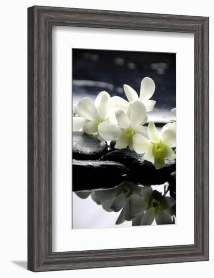 Zen Stones And Branch White Orchids With Reflection-crystalfoto-Framed Photographic Print