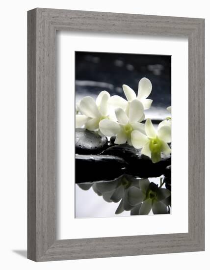 Zen Stones And Branch White Orchids With Reflection-crystalfoto-Framed Photographic Print