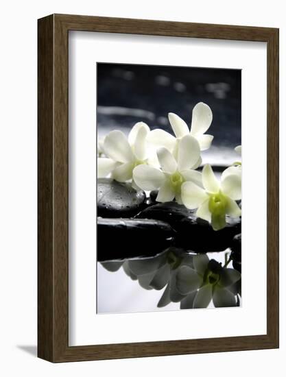 Zen Stones And Branch White Orchids With Reflection-crystalfoto-Framed Photographic Print