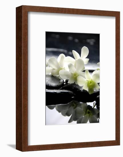 Zen Stones And Branch White Orchids With Reflection-crystalfoto-Framed Photographic Print