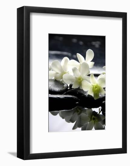 Zen Stones And Branch White Orchids With Reflection-crystalfoto-Framed Photographic Print