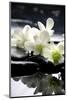 Zen Stones And Branch White Orchids With Reflection-crystalfoto-Mounted Photographic Print