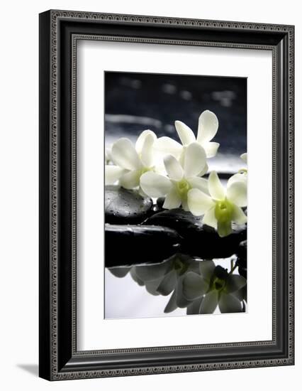 Zen Stones And Branch White Orchids With Reflection-crystalfoto-Framed Photographic Print