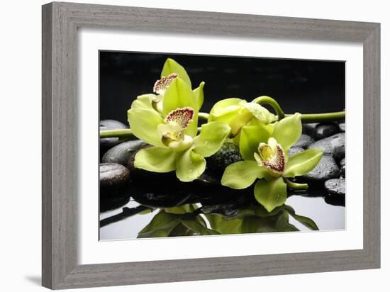 Zen Stones and Green Orchids with Water Drops-crystalfoto-Framed Photographic Print