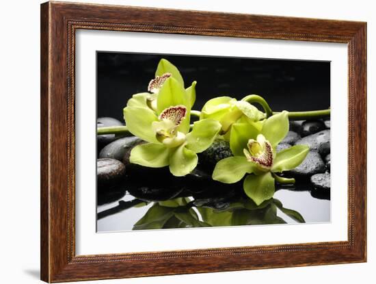 Zen Stones and Green Orchids with Water Drops-crystalfoto-Framed Photographic Print