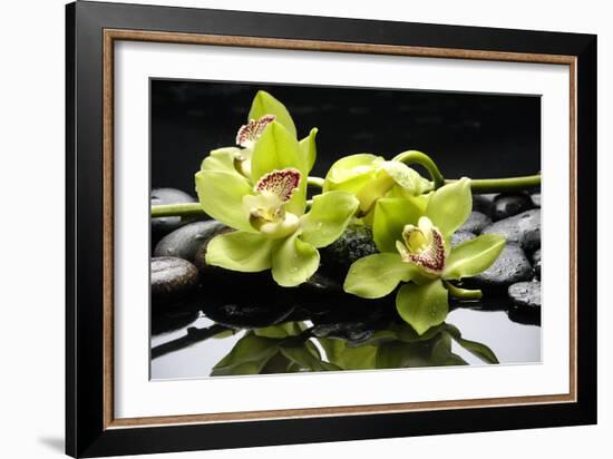 Zen Stones and Green Orchids with Water Drops-crystalfoto-Framed Photographic Print