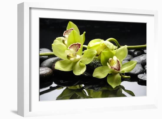 Zen Stones and Green Orchids with Water Drops-crystalfoto-Framed Photographic Print