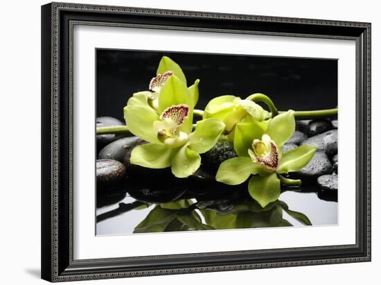 Zen Stones and Green Orchids with Water Drops-crystalfoto-Framed Photographic Print