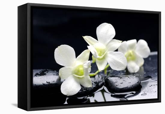 Zen Stones and Tiger's Orchids with Water Drops-crystalfoto-Framed Premier Image Canvas