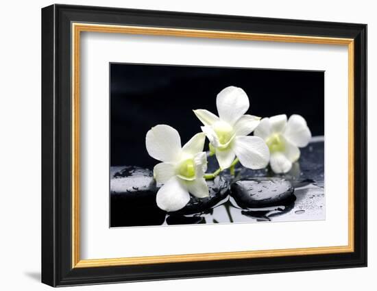 Zen Stones and Tiger's Orchids with Water Drops-crystalfoto-Framed Photographic Print