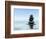 Zen Stones In Water-f9photos-Framed Photographic Print