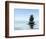 Zen Stones In Water-f9photos-Framed Photographic Print